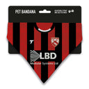 Morecambe 25/26 Home Kit Pet Bandana