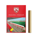 Stadium Inside poster