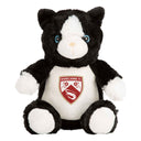 Morecambe Cat Teddy