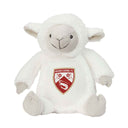 Morecambe Lamb Teddy