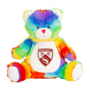 Morecambe Rainbow Teddy